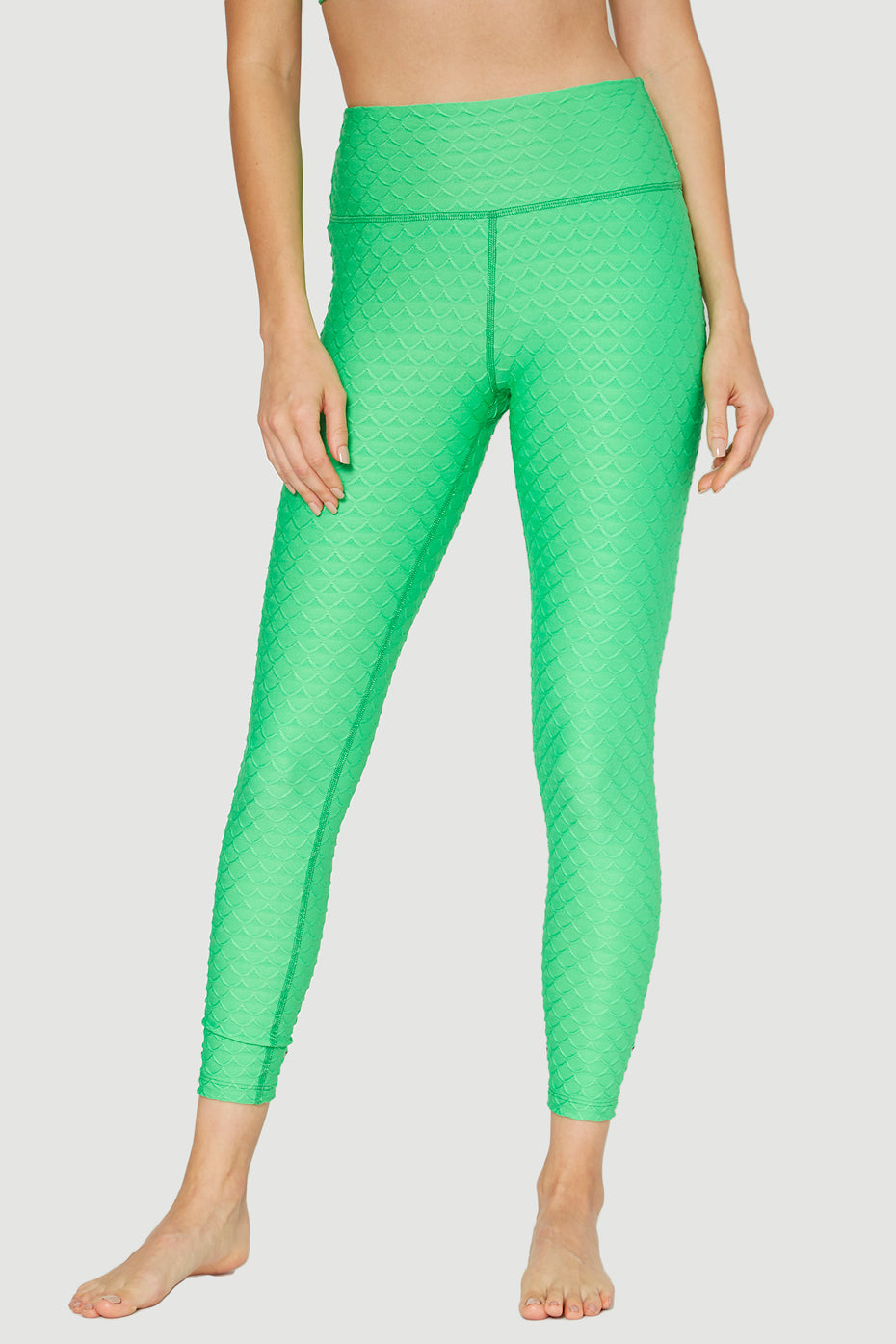 Scallop Legging
