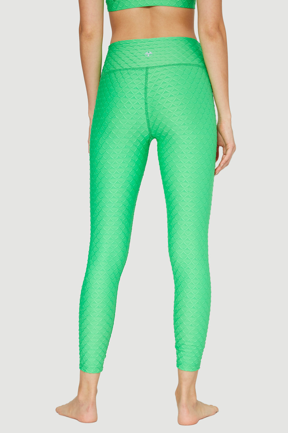 Scallop Legging